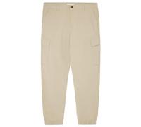 SPRINGFIELD Men's Pants, Beige, 40