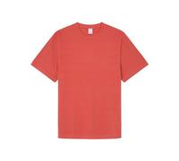 SPRINGFIELD Men's T-Shirt, RED_Print, M