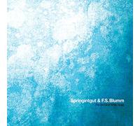 Springintgut and F.S.Blumm - The Bird and White Noise