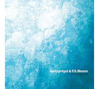 Springintgut and F.S.Blumm - The Bird and White Noise [VINYL]