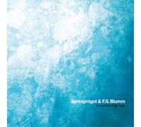 Springintgut & F.S.Blumm The Bird and White Noise (CD) Album (US IMPORT)