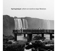 Springintgut - Remixes - Where We Need No Map [VINYL]