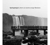 Springintgut - Where We Need No Map Remixes
