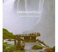 Springintgut - Where We Need No Map [VINYL]