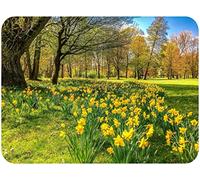 Springtime Daffodils - Glass Worktop Saver/Protector | Kitchen Cutting Board - by Pearl Glass (Scenic, 40x 30cm Medium)
