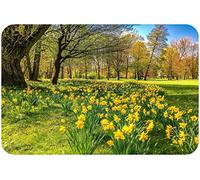 Springtime Daffodils - Glass Worktop Saver/Protector | Kitchen Cutting Board - by Pearl Glass (Scenic, 60 x 40cm Extra Large)