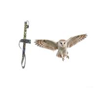 Springwillfly Plastic Hanging Owl Decor For Outdoor Spaces To Discourage Birds Using For Eagle Visual Deterrent Design Garden Use(1 D)