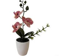 Springwillfly Realistic Artificial Phalaenopsis Blossom With Detailed Petals And Natural Stem Texture Mounted In Elegant Plastic For Home Office Decor(B)