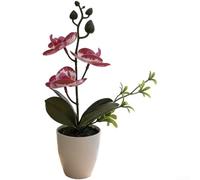 Springwillfly Realistic Artificial Phalaenopsis Blossom With Detailed Petals And Natural Stem Texture Mounted In Elegant Plastic For Home Office Decor(A)
