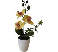 Springwillfly Realistic Artificial Phalaenopsis Blossom With Detailed Petals And Natural Stem Texture Mounted In Elegant Plastic For Home Office Decor(F)