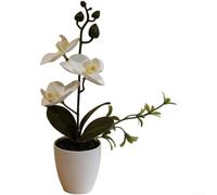 Springwillfly Realistic Artificial Phalaenopsis Blossom With Detailed Petals And Natural Stem Texture Mounted In Elegant Plastic For Home Office Decor(E)