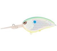 Spro Little John Baby Deep Diving Crank Bait-Pack of 1, Citrus Shad