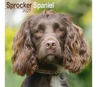 Sprocker Spaniel Calendar 2027, Wall Calendars, Month To View, Dogs, Gift