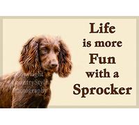 Sprocker Spaniel Fridge Magnet - Life is More Fun with a Sprocker
