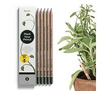 Sprout Pencils | Happy Bee Edition | Graphite Plantable Pencils with Bee-friendly Flower, Herb & Vegetable Seeds | Certified Wood | Gift with Inspirational Quotes | 5 Pack