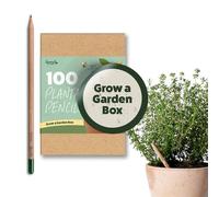 Sprout World Plantable Pencils | Grow a Garden Box | Wood-Cased | Pre-Sharpened | HB Wooden Pencils with 4 Seed Types | Classroom Bulk Pack of 100