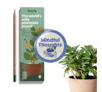 Sprout World Wood-Cased Pencils | Mindful Thoughts Edition | #2 HB Pre-Sharpened Graphite Plantable Wooden Pencils with flower, Herb & Vegetable Seeds | With Heart-Warming Quotes | 8 Pack