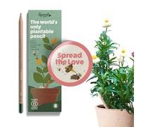 Sprout World Wood-Cased Pencils | Spread the Love Edition | #2 HB Pre-Sharpened Graphite Plantable Wooden Pencils with flower, Herb & Vegetable Seeds | With Heart-Warming Quotes | 8 Pack
