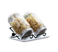 Sprouting Jar Kit, Hydroponic Vegetable Germination Set, Easy Grow Sprout Kit for Gardeners Beginners Homesteaders Vegetarian Home Kitchen Apartment Windowsill Office Pantry Shelf Use Fresh Healthy