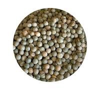 Sprouting Peas | Grow Your Own Fresh Pea Shoots for Salads, Stir-Fries & Garnish | 5kg in a 10L Bucket