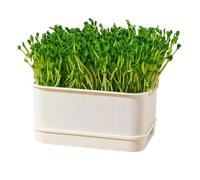 Sprouting Tray - Soil-Free Promoter With Lid, Seedling Trays For Planting | Germination & Cultivation Tray For Bean Sprouts, Pea Shoots, Wheatgrass, Seed Growing & Plant Propagation