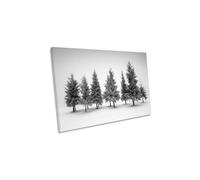 Spruce Grove Alberta Canada Winter Landscape Canvas Wall Art Picture Print CanvasGeeks White W24 inch x H16 inch x D20mm