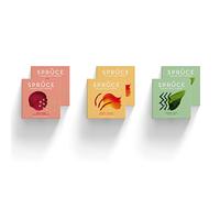 Spruce Natural Water Flavouring With Vitamins - Family Pack Explorer Bundle - 3 Flavours, 72 Drinks - No Sugar - Made With Real Fruits - Healthy Squash Cordial - Drink More Water