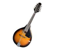 Spruce Panel Oval Sound Hole 8 String Mandolin Western Musical Instrument With Accessories Mandolin for Student (Color : 02)