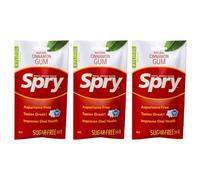 Spry On The Go Fresh Natural Xylitol Chewing Gum Dental Defense System - Aspartame-Free, Sugar-Free, Non-GMO (Cinnamon, 55 Count - Pack of 3)