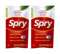 Spry On The Go Xylitol Chewing Gum - Cinnamon, 55 Count - Pack of 2 | Aspartame-Free, Sugar-Free, Vegan, Non-GMO, Gluten-Free for Cavities, Bad Breath Freshening, Dry Mouth, Dental Defense System