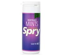 Spry Xylitol Berry Blast Mints Sugar Free Candy - Promote Oral Health, Increase Saliva Production, Stop Bad Breath, Non-GMO, Gluten-Free, 45 Count (Pack of 1)