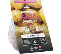 SpudMan 6 Pack Charlotte Summer Planting Seed Potatoes, Grows Approx. 60 Boiling Potatoes