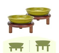 SPUNKYJUNKY Shallow Elevated Cat Bowl with Acacia Wood Stand Wide Raised Ceramic Cat Dishes Whisker Friendly Pet Food and Water Plates (Striped Pattern, 2 Pack, Green)