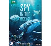 Spy in the Ocean
