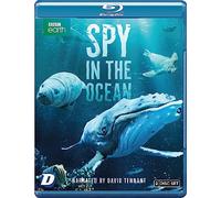 Spy in the Ocean