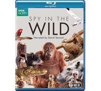 SPY IN THE WILD BLU-RAY - Region B Blu Ray BRAND NEW