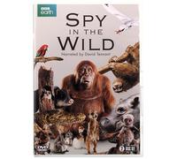 Spy in the Wild [DVD]