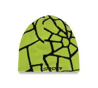Spyder Reversible Web Beanie Green Men,Women