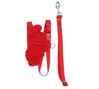 SPYMINNPOO Adjustable Ducks Harness Leash Set Easy to Wear for Duck Chicken Goose for Daily Walking (M)