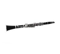 SPYMINNPOO Bb Clarinet, Complete Kit with Storage Case, Gloves, Shoulder Strap for Beginners Practice