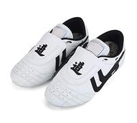 SPYMINNPOO Taekwondo Shoes, Boxing Taichi Kung Fu Karate Training Shoes Lightweight Rubber Sole Unisex Sport for Kids Women Men Adult (11