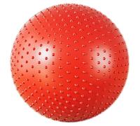 SPYQKHSH Anti-Slip and Anti-Burst Workout Ball,Sensory Exercise Ball With Tactile Spikes,for Working Out,Yoga & Pregnancy(D,75CM)