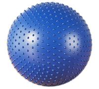 SPYQKHSH Anti-Slip and Anti-Burst Workout Ball,Sensory Exercise Ball With Tactile Spikes,for Working Out,Yoga & Pregnancy(A,55CM)