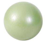 SPYQKHSH Pilates Exercise Ball,Anti-Slip And Anti-Burst Workout Ball,for Pregnancy Birthing,Excersize,Workout,Fitness,Balance(65cm)