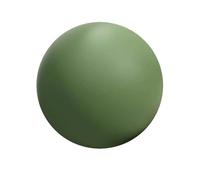 SPYQKHSH Small Pilates Ball,25cm Mini Yoga Ball for Exercise for Workout,Birthing,Pregnancy,Physical Therapy,Improves Balance(A)