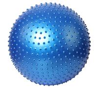 SPYQKHSH Thicken Explosion-proof Fitness Ball,Heavy Duty Fitness Yoga Childbirth Assisted Ball,Large Sensory Massage Ball for Kids,for Home Gym Office(A,55CM)