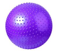 SPYQKHSH Thicken Explosion-proof Fitness Ball,Heavy Duty Fitness Yoga Childbirth Assisted Ball,Large Sensory Massage Ball for Kids,for Home Gym Office(C,55CM)