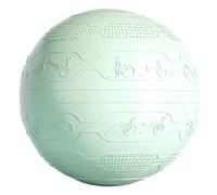 SPYQKHSH Yoga & Pilates Ball,Anti Slip Heavy Duty Gym Ball,w/Pump for Pregnancy Birthing,Excersize,Workout,Fitness,Balance,Gym,Physio,Abs(C)