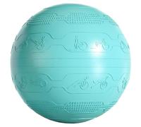 SPYQKHSH Yoga & Pilates Ball,Anti Slip Heavy Duty Gym Ball,w/Pump for Pregnancy Birthing,Excersize,Workout,Fitness,Balance,Gym,Physio,Abs(D)