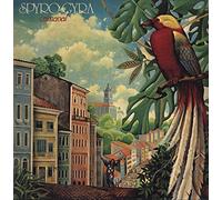 Spyro Gyra - Carnaval [Vinyl LP] [VINYL]